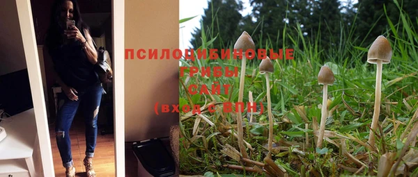 MESCALINE Аркадак