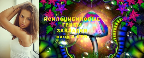 таблы Арсеньев