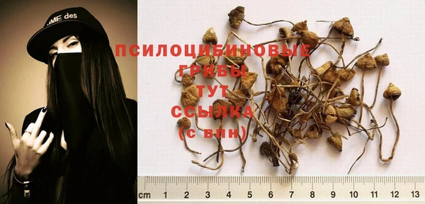 MESCALINE Аркадак
