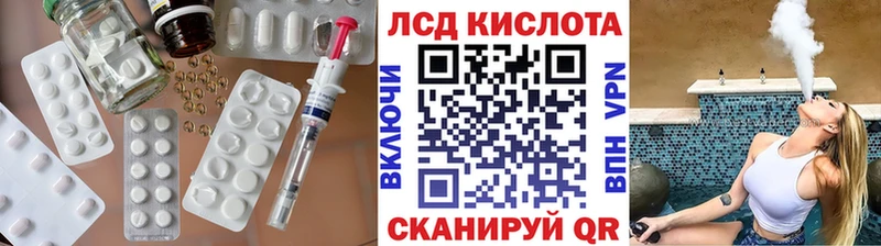 блэк спрут зеркало  Снежногорск  ЛСД экстази ecstasy  где купить наркотик 