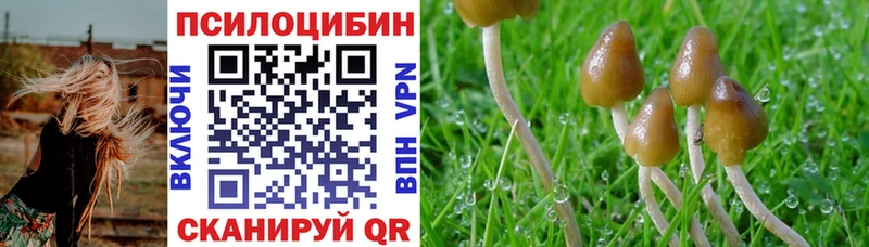 Галлюциногенные грибы Psilocybe  Снежногорск 